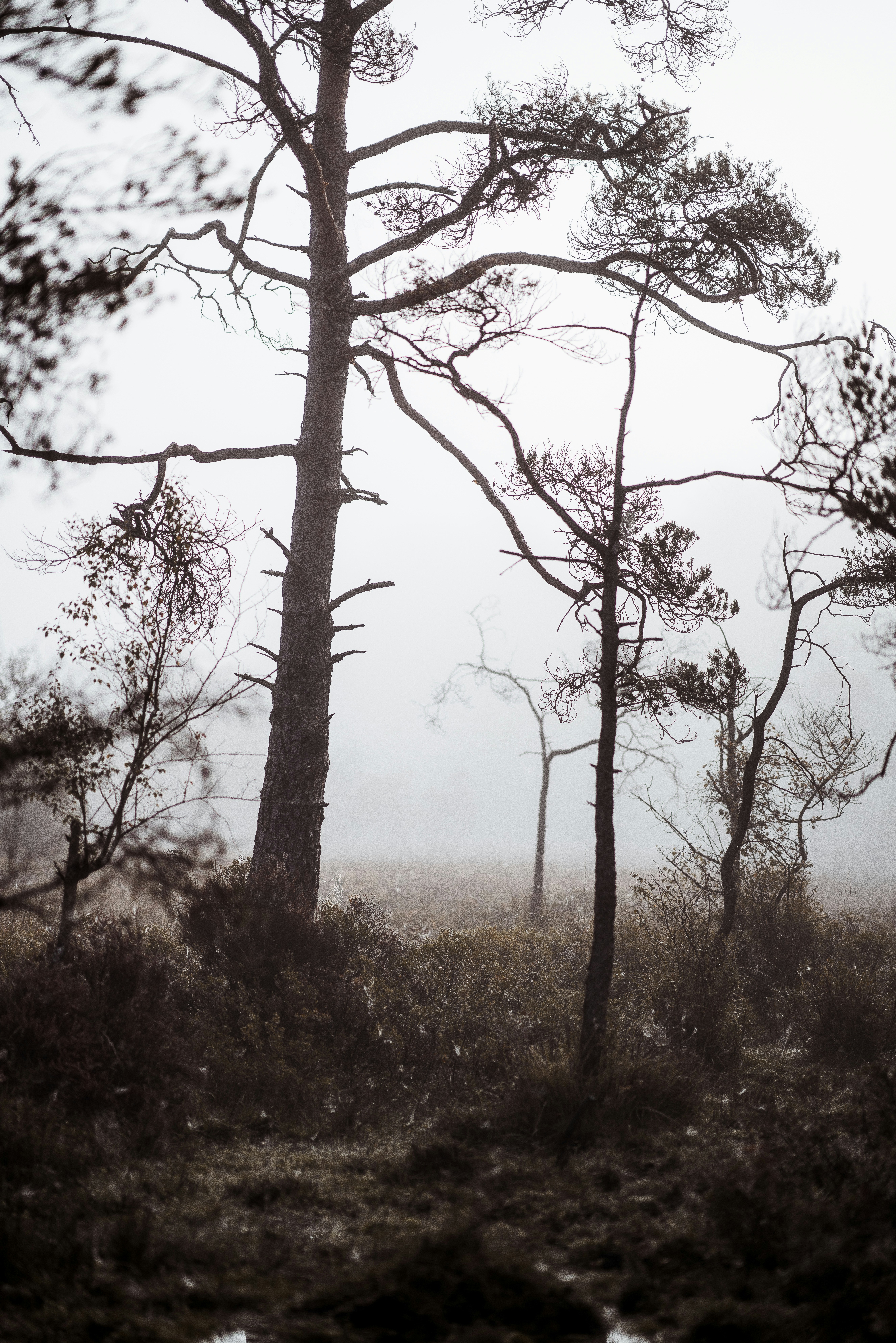 Photo by anniespratt