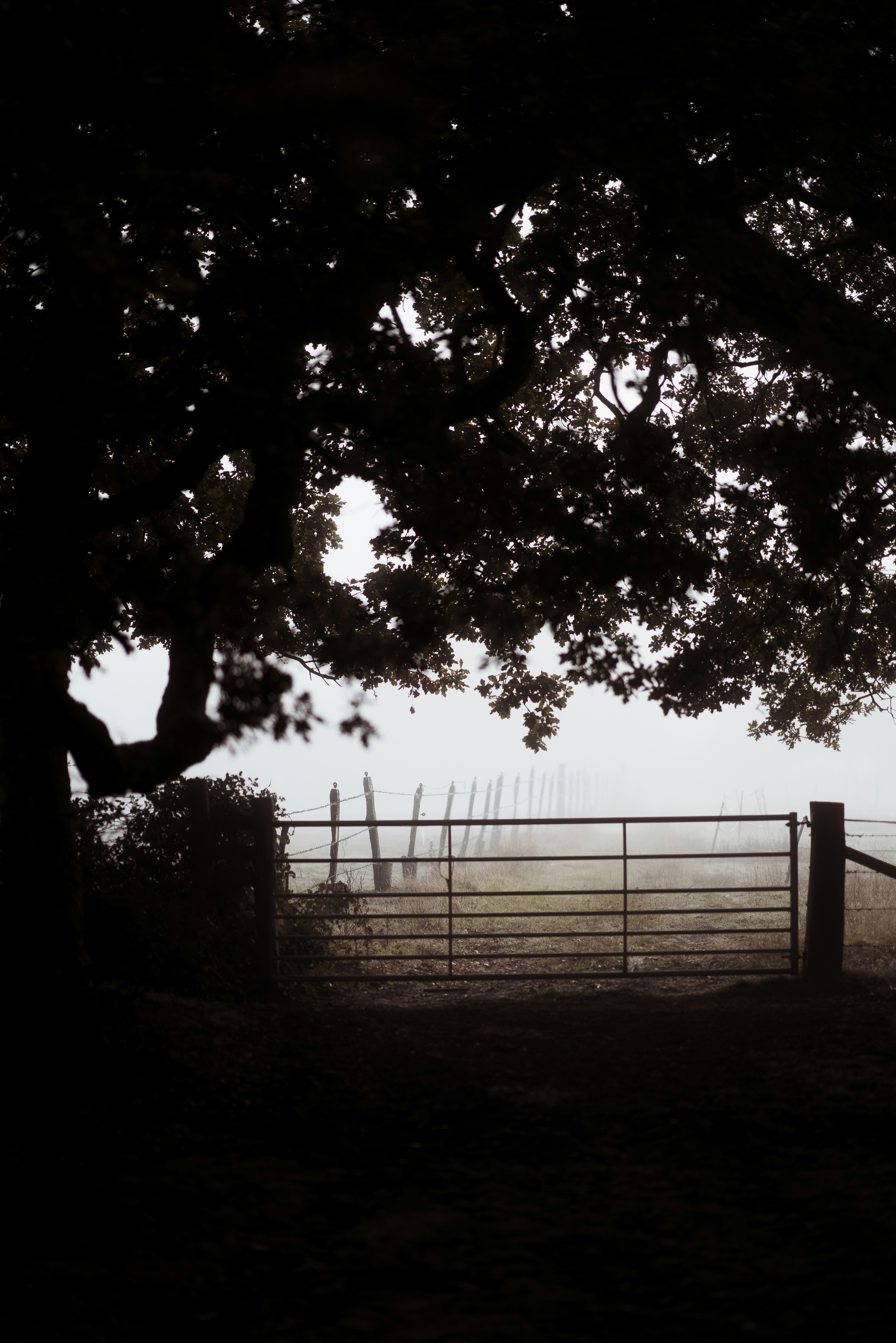 Photo by anniespratt