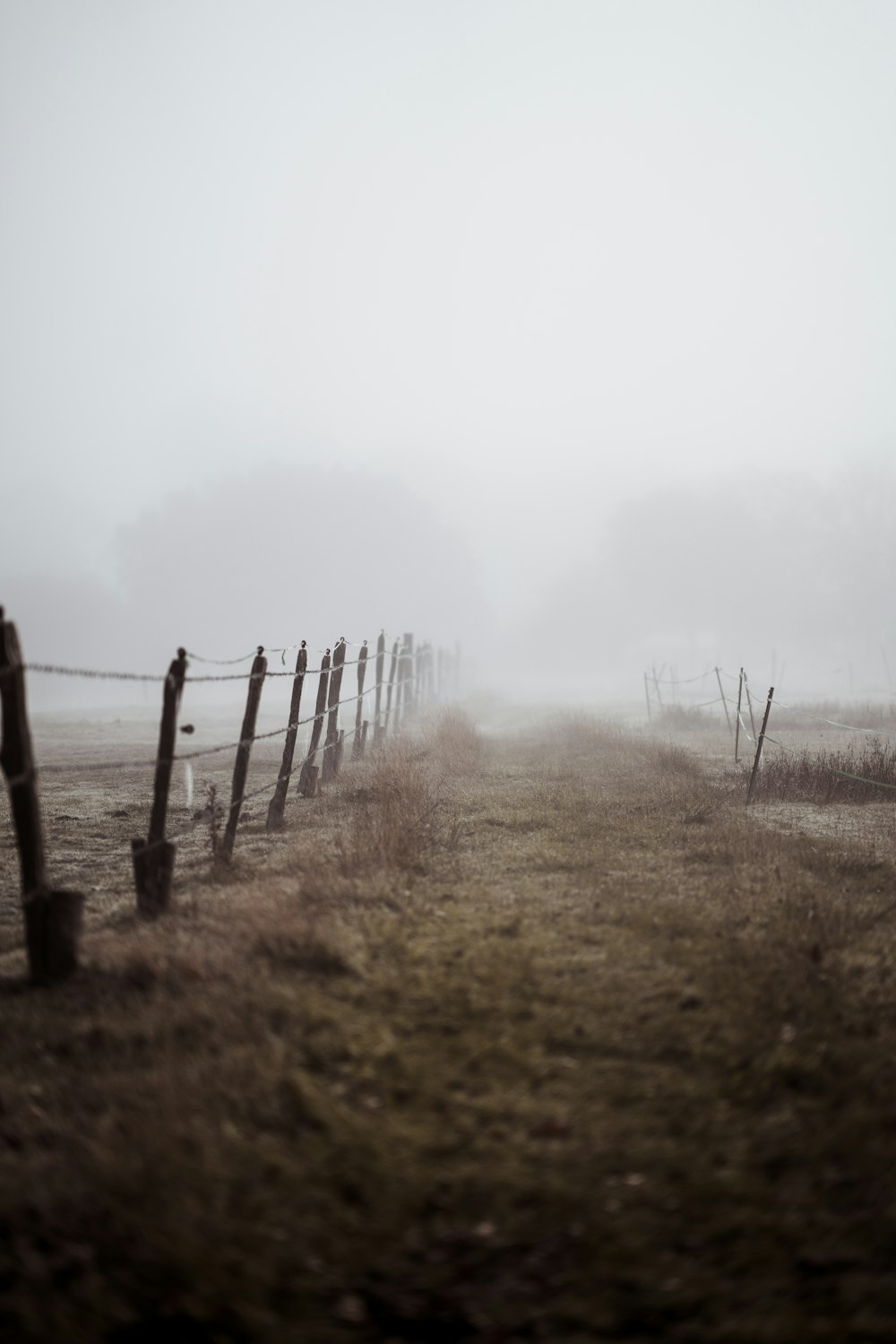 rough road with fences