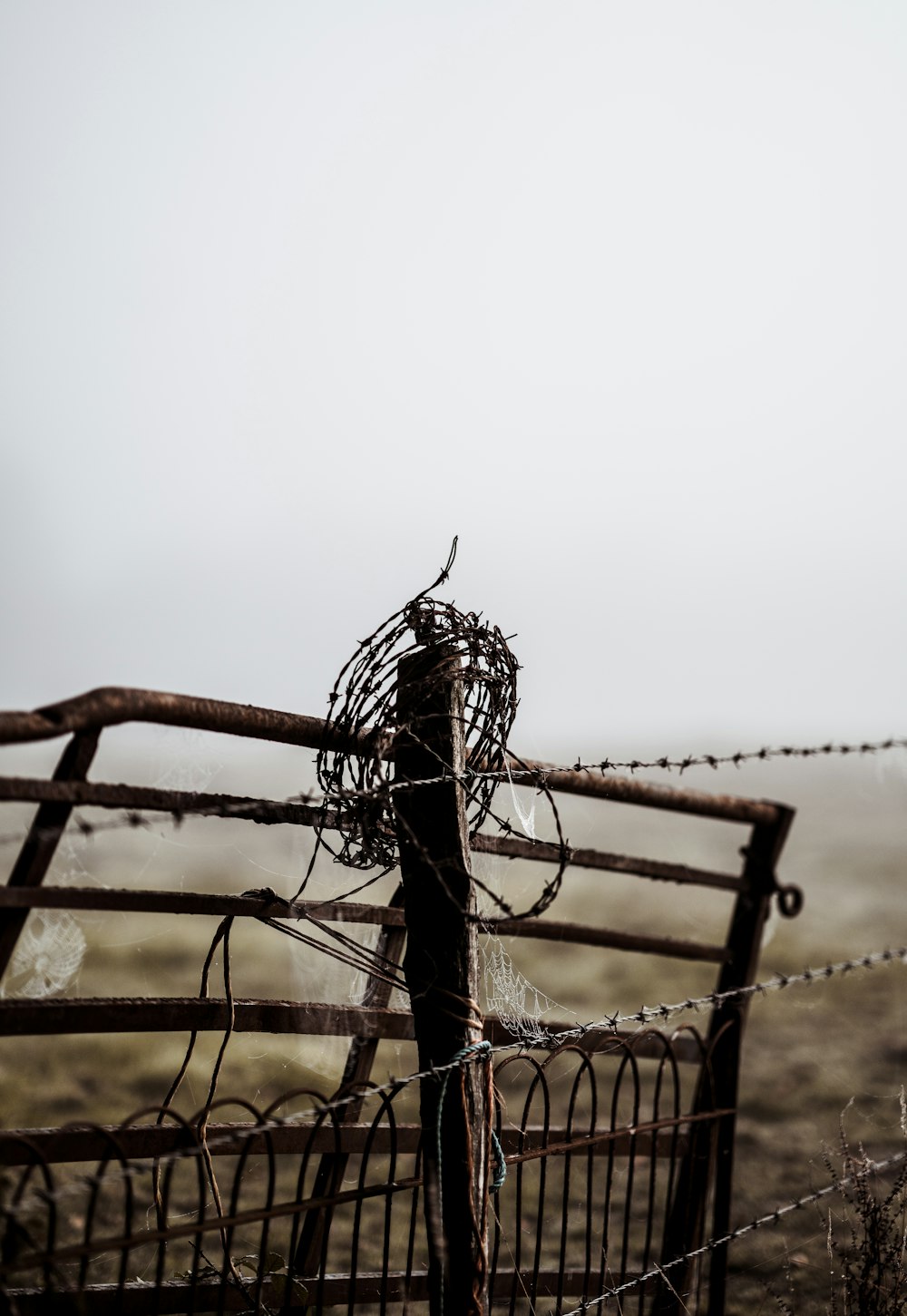 gray barbed wire besides brown metal frame