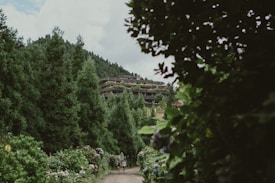 A lush green forest path framed by dense foliage leads to a multi-tiered building nestled among the trees. The building features terraces with greenery, blending seamlessly into the surrounding environment. The scene conveys a sense of tranquility and harmony with nature.