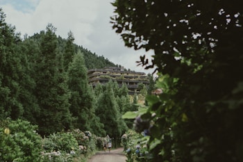 A lush green forest path framed by dense foliage leads to a multi-tiered building nestled among the trees. The building features terraces with greenery, blending seamlessly into the surrounding environment. The scene conveys a sense of tranquility and harmony with nature.