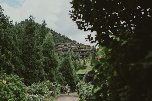 A lush green forest path framed by dense foliage leads to a multi-tiered building nestled among the trees. The building features terraces with greenery, blending seamlessly into the surrounding environment. The scene conveys a sense of tranquility and harmony with nature.