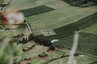 green field during daytime