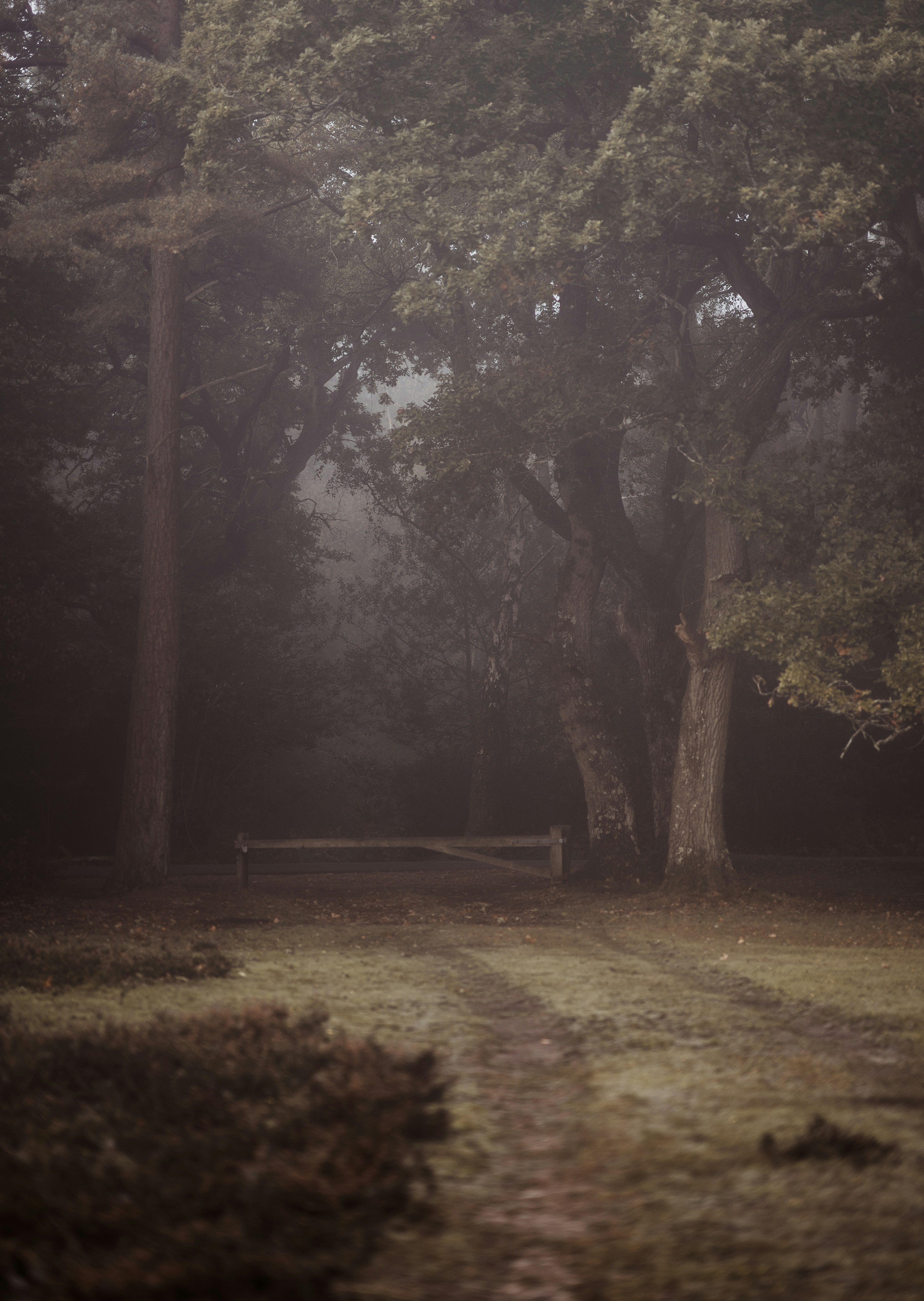 Photo by anniespratt