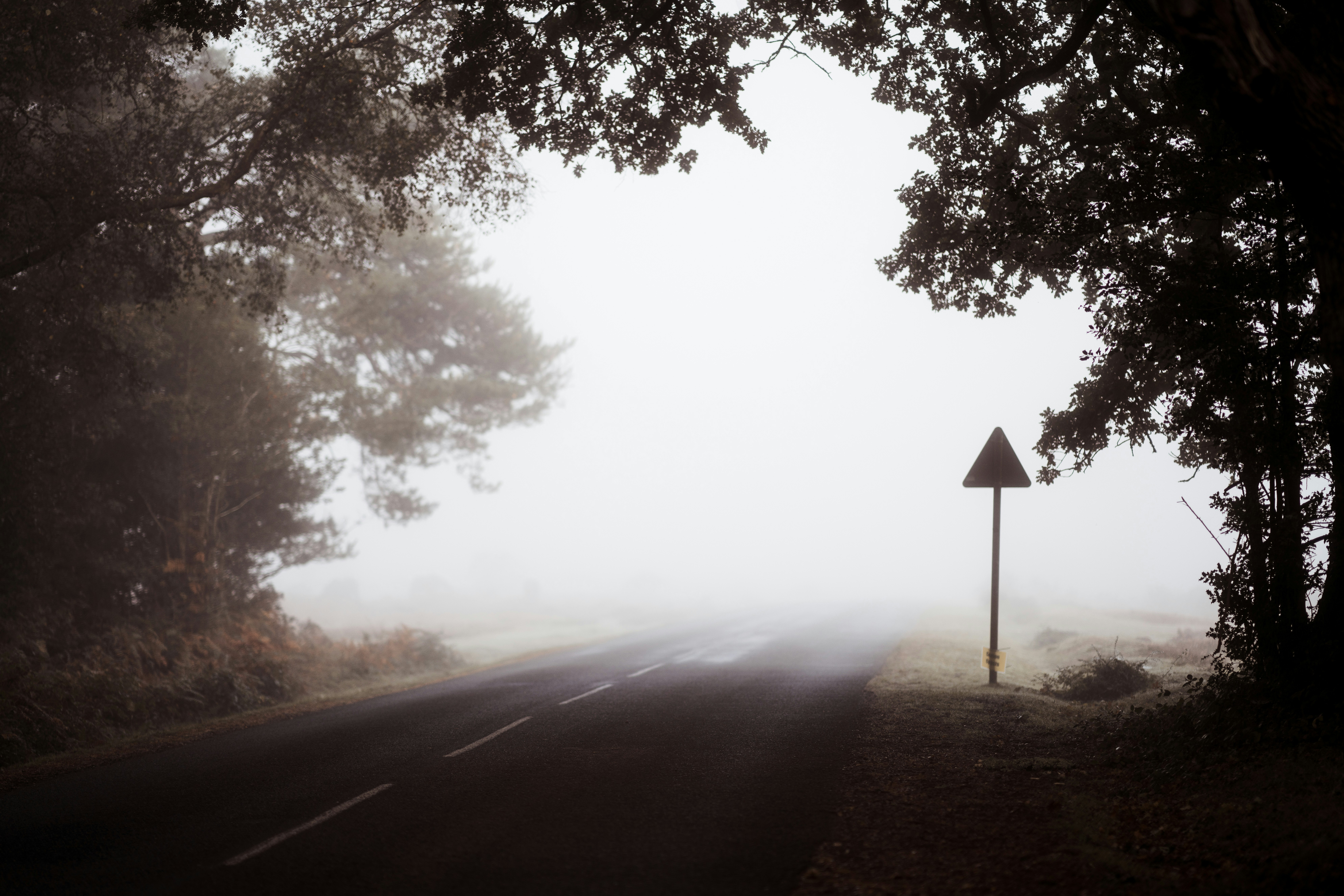 Photo by anniespratt