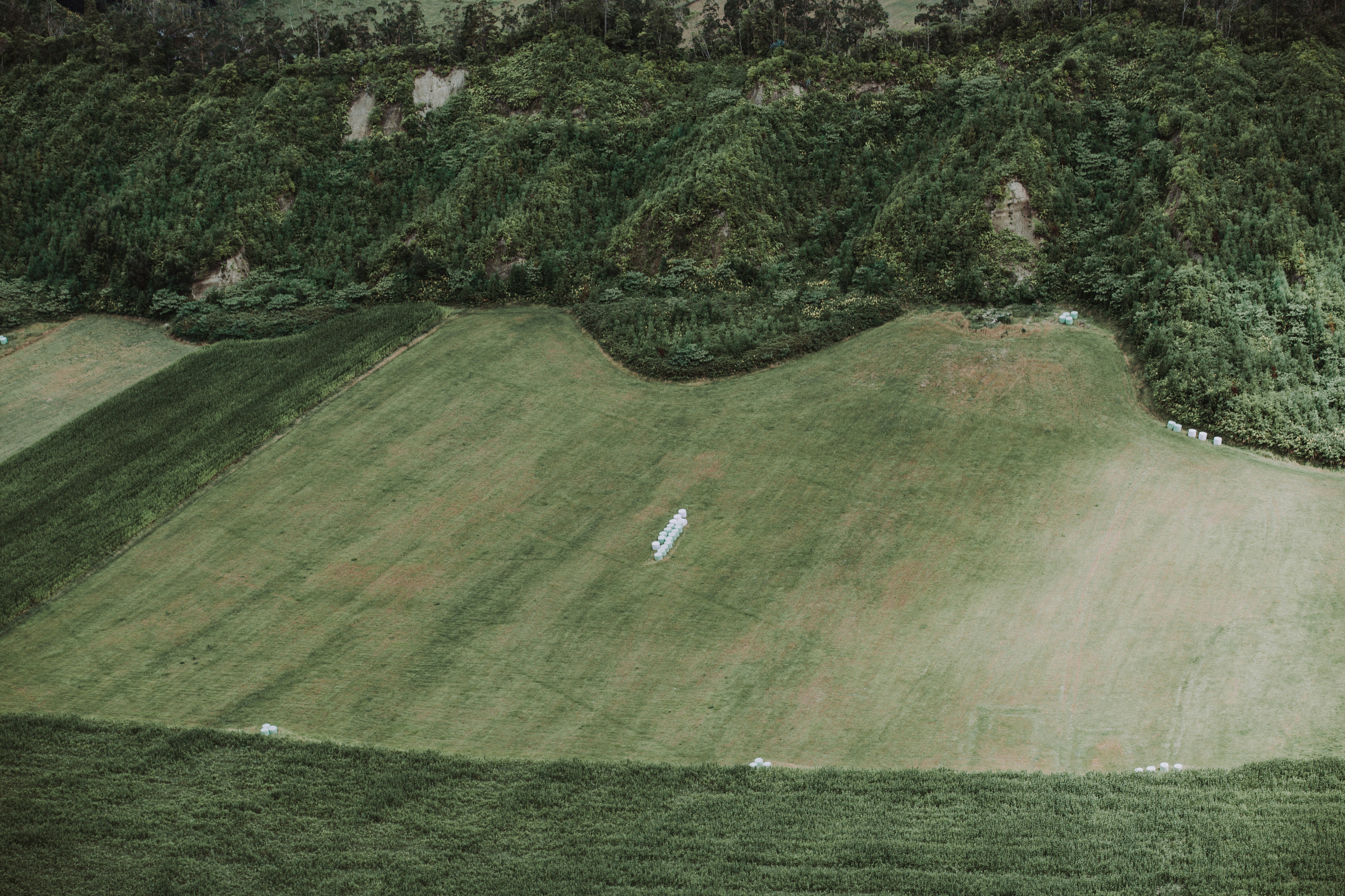 Aerial view of cricket pitch conditions