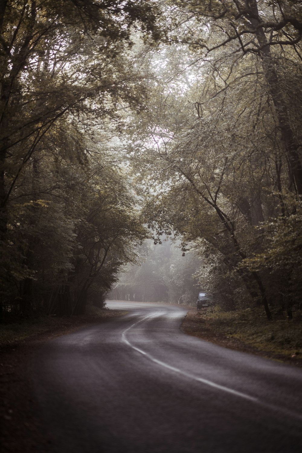 gray top road at day time