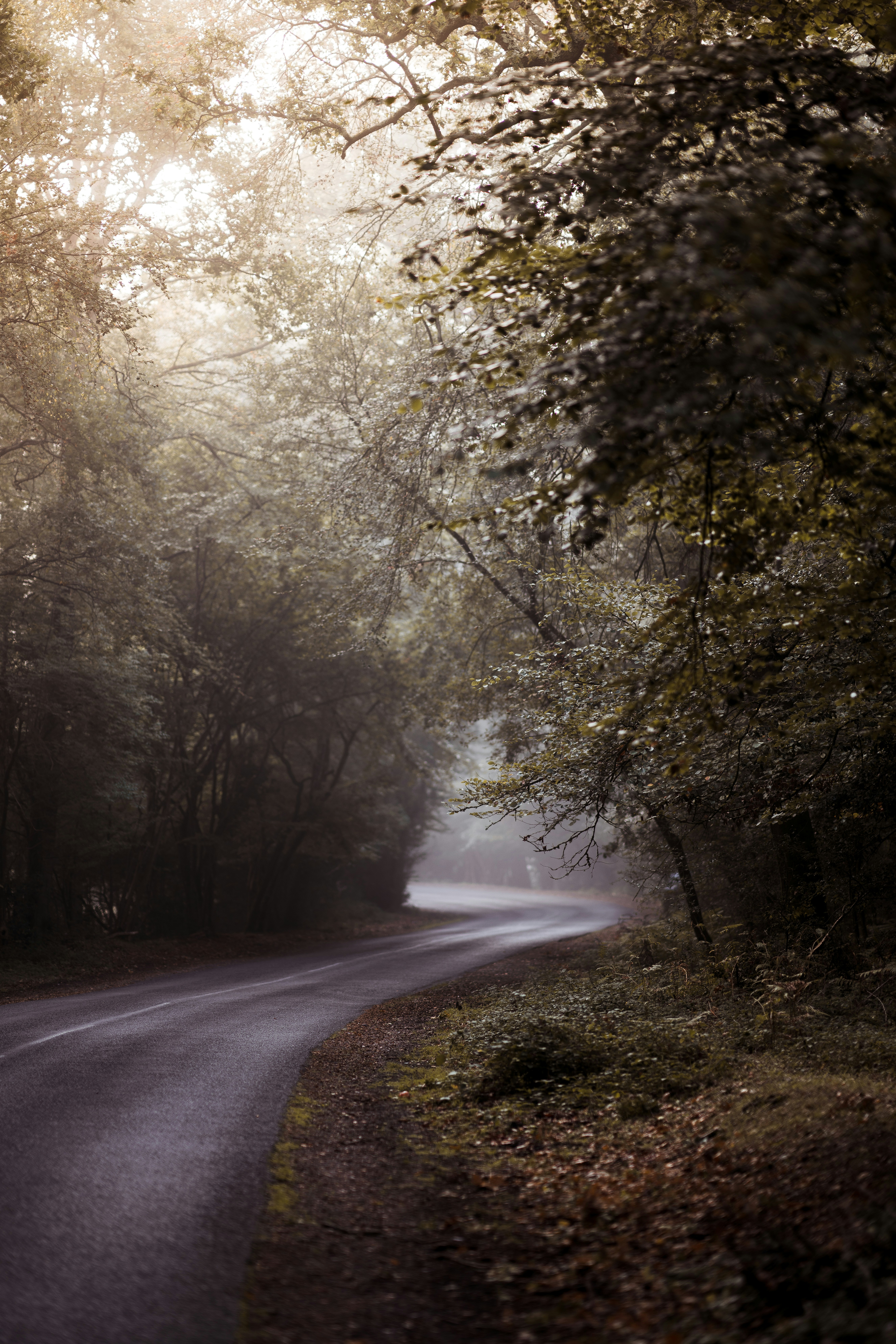 Photo by anniespratt