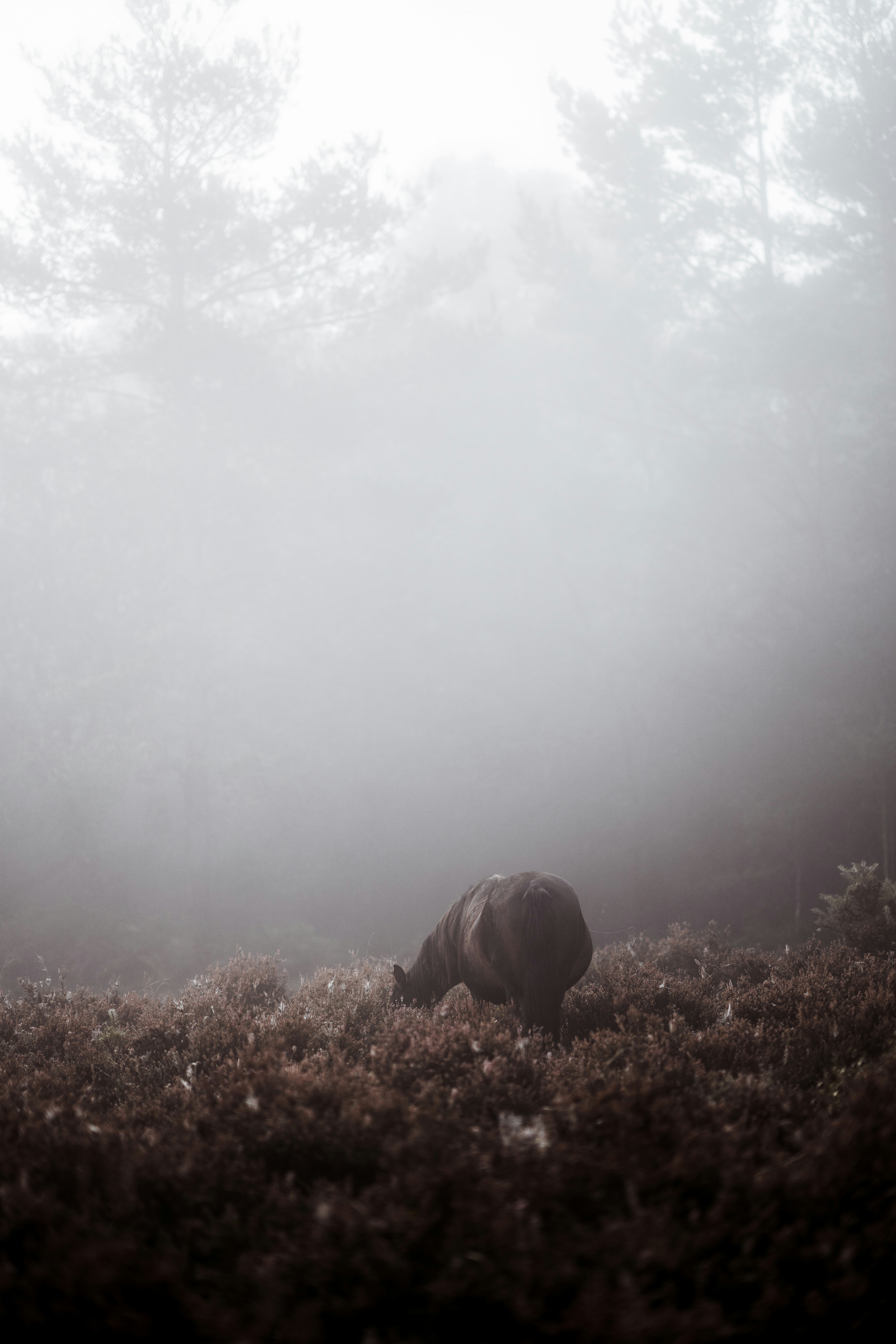 Photo by anniespratt