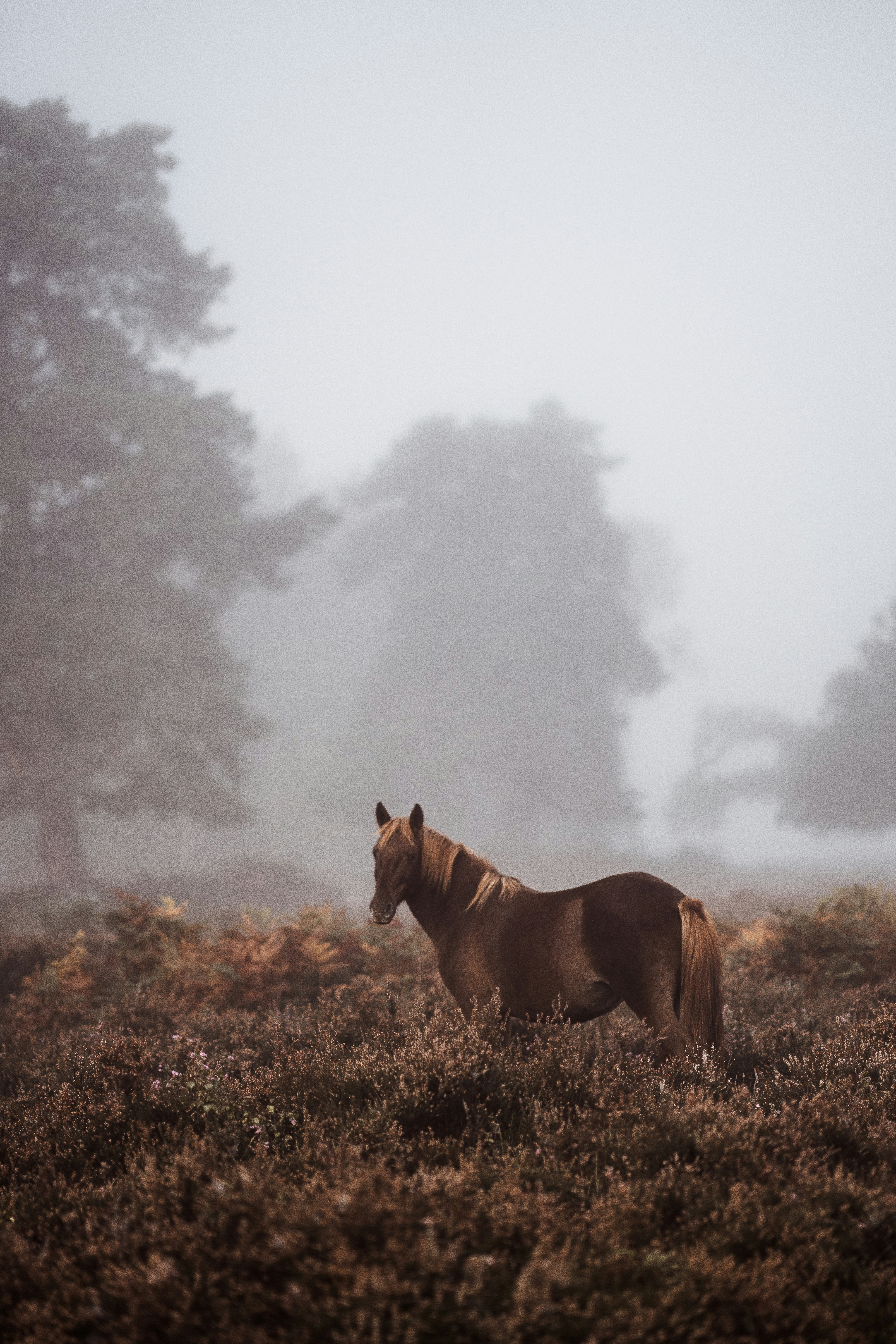 Photo by anniespratt