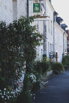 A charming, narrow street lined with traditional European-style buildings, featuring a dense display of greenery and blooming flowers along the walls. A sign for a g&icirc;te is visible above, indicating accommodations typical in France. The street has a peaceful, quaint atmosphere.