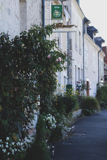 A charming, narrow street lined with traditional European-style buildings, featuring a dense display of greenery and blooming flowers along the walls. A sign for a g&icirc;te is visible above, indicating accommodations typical in France. The street has a peaceful, quaint atmosphere.