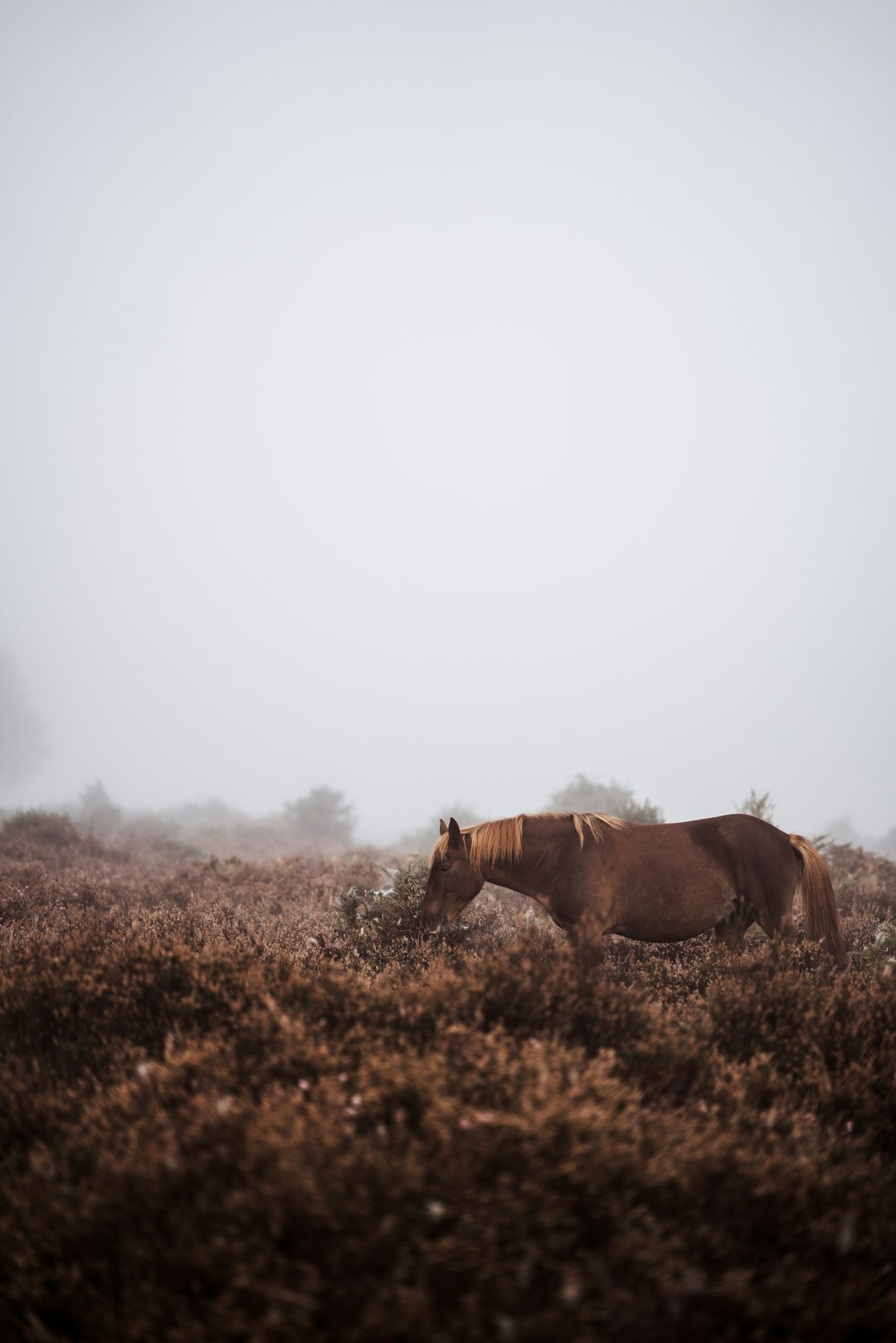 Ecoregion photo spot New Forest National Park Dorset