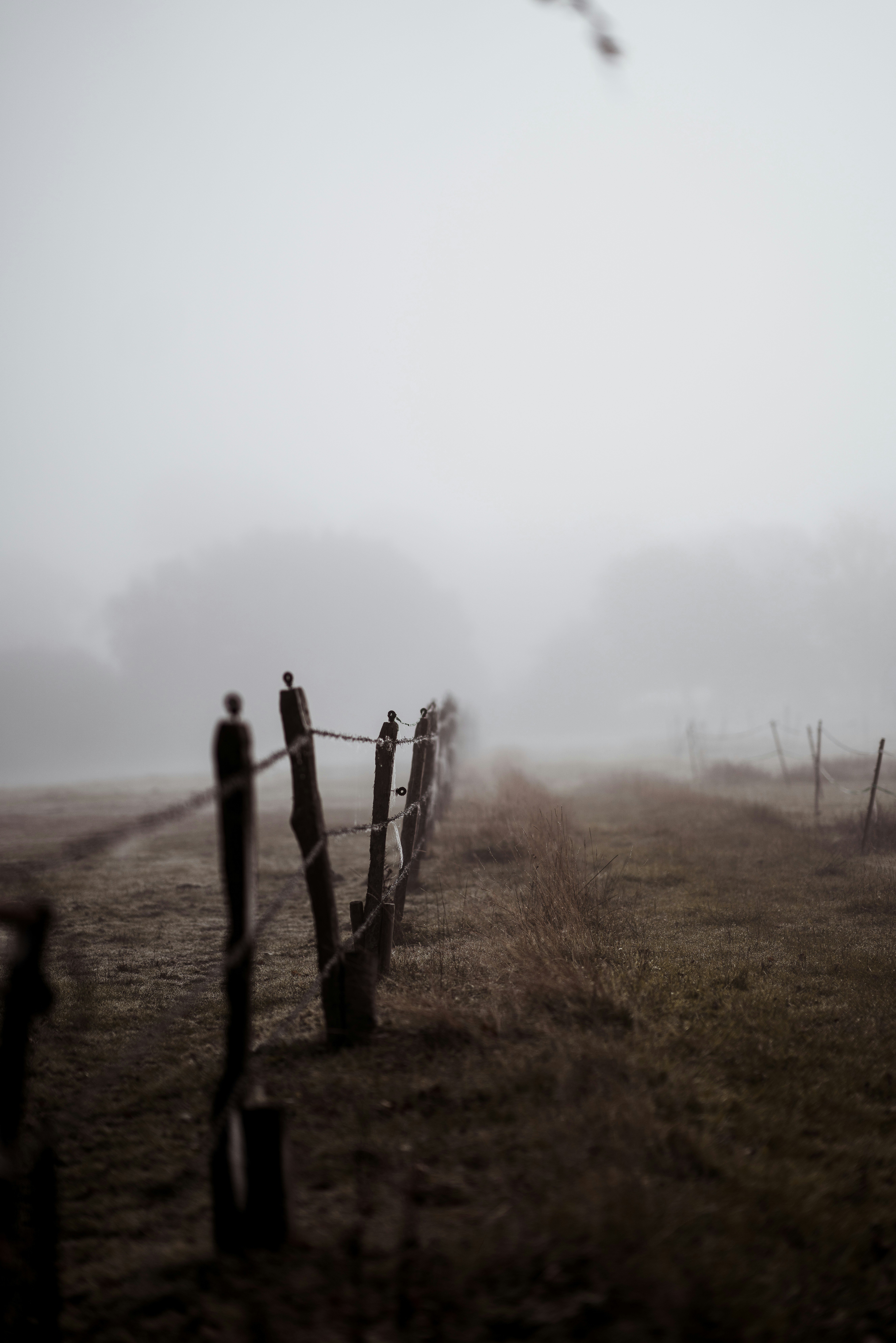 Photo by anniespratt