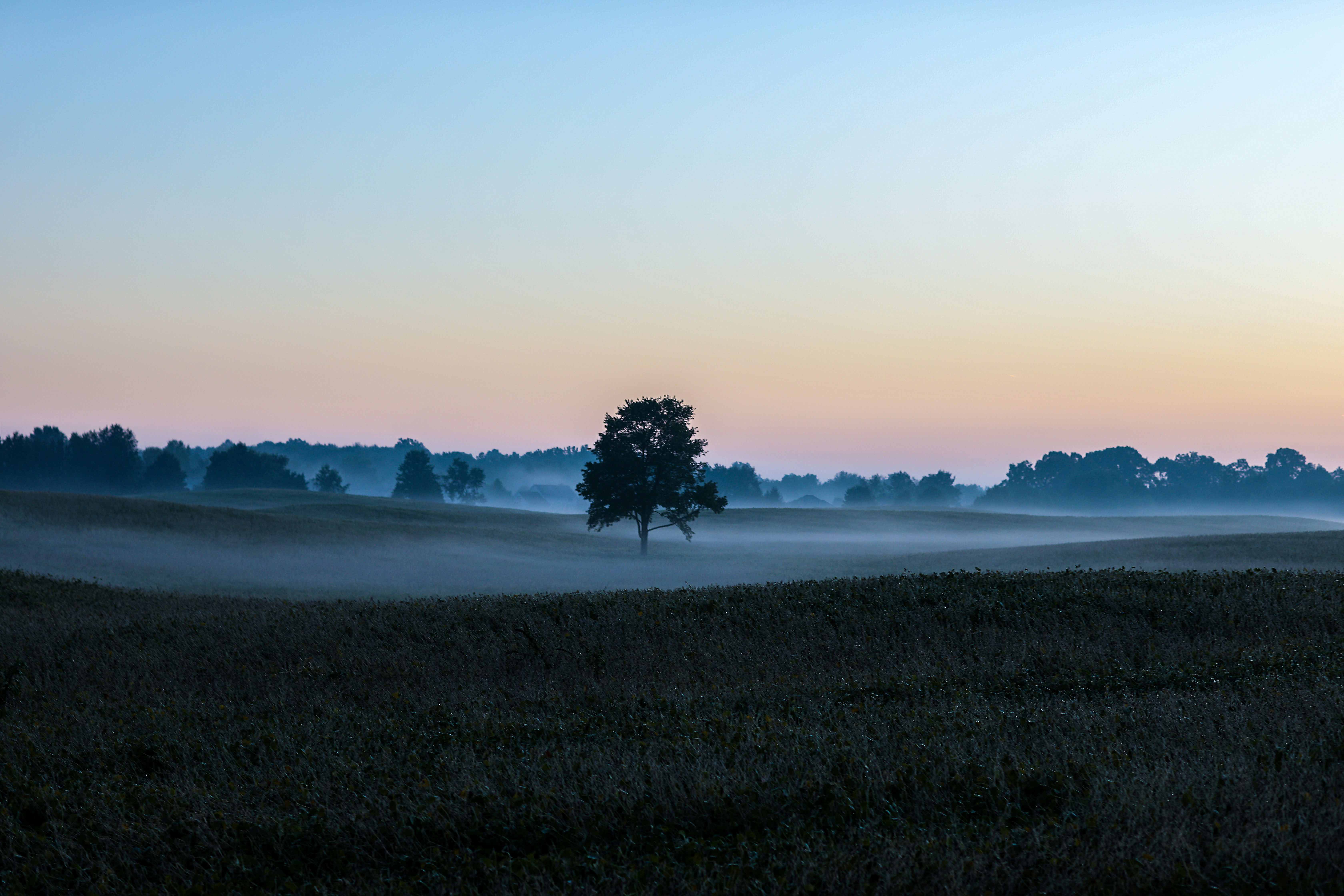 Photo by michaelbweidner