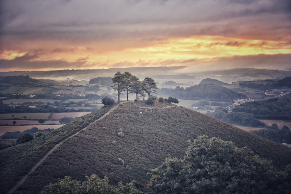 green grass mountain scenery