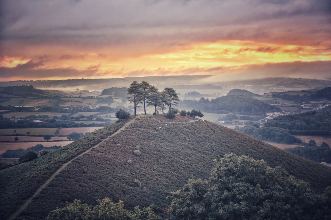 Hill photo spot Colmer's Hill West Lulworth