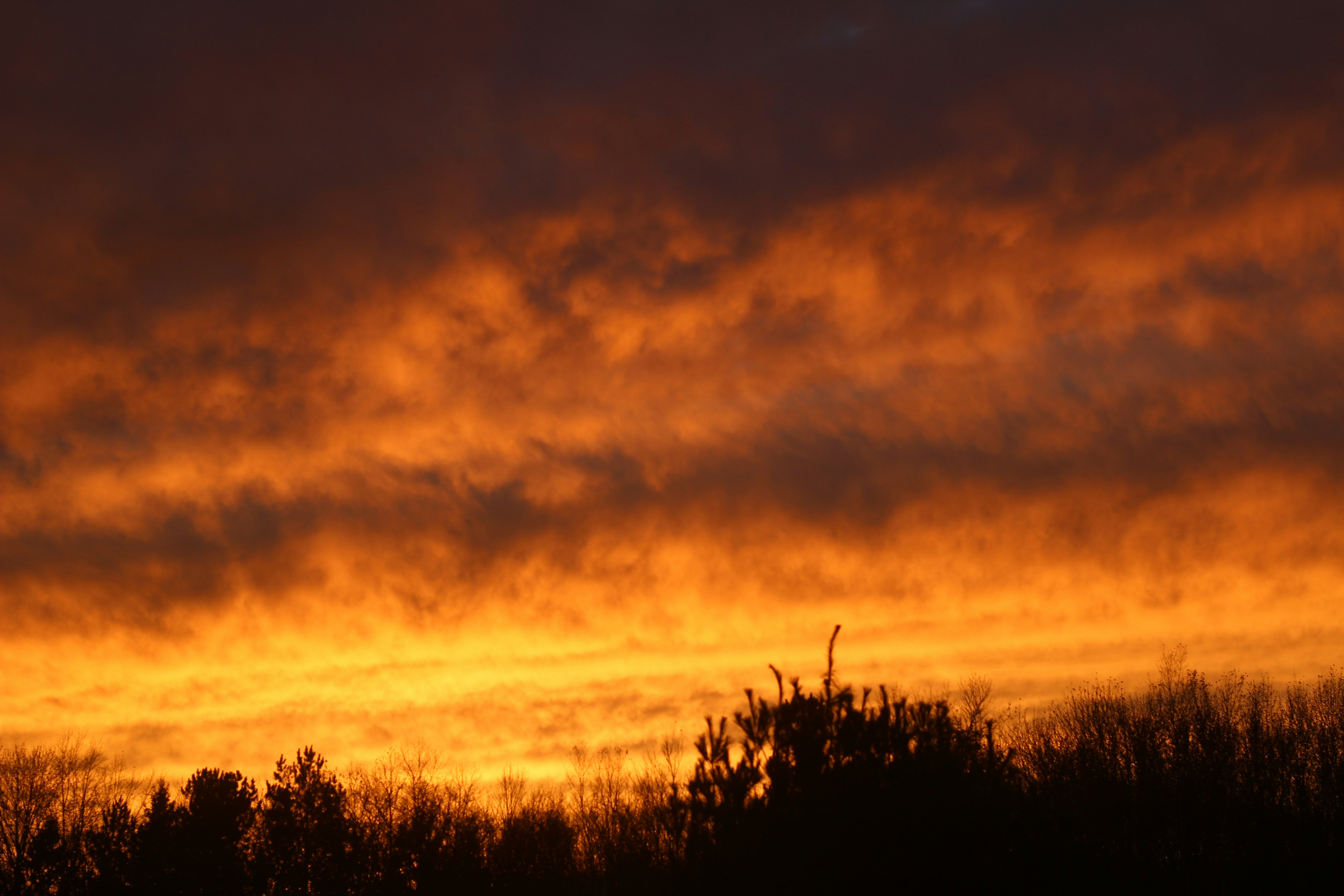 Photo by wisconsinpictures