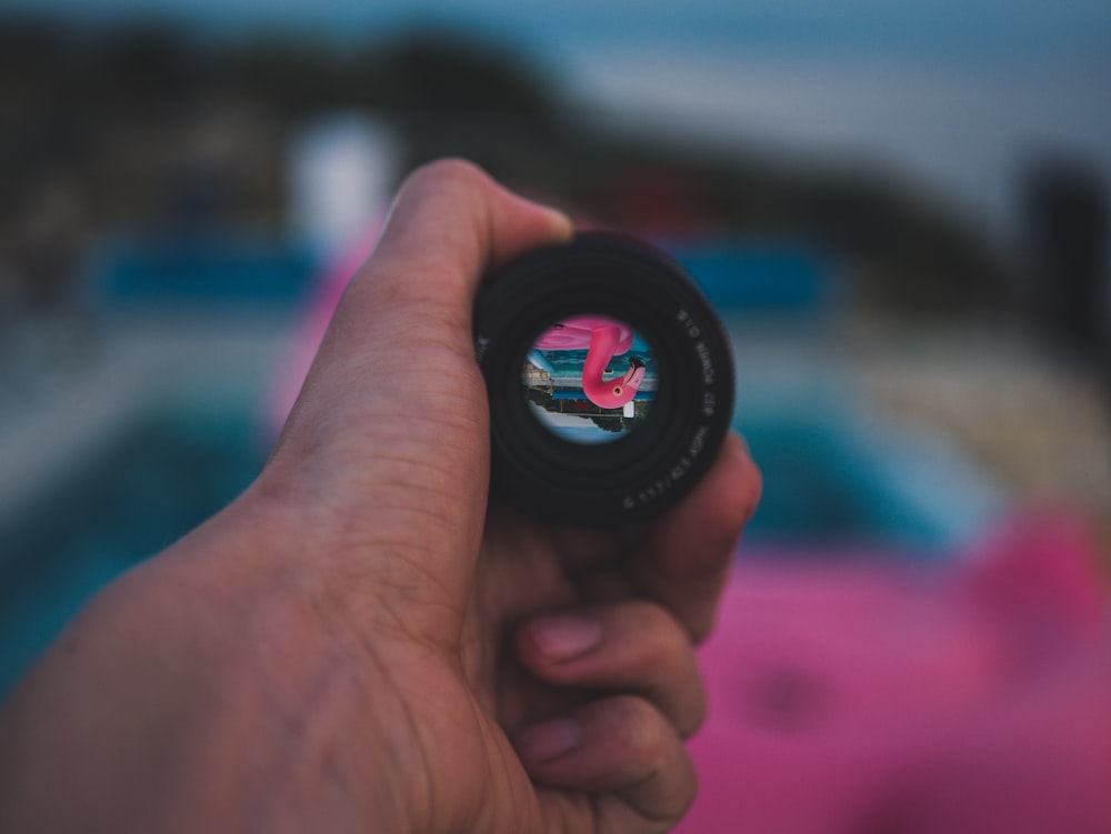 selective focus photography of camera lens displaying pink flamingo