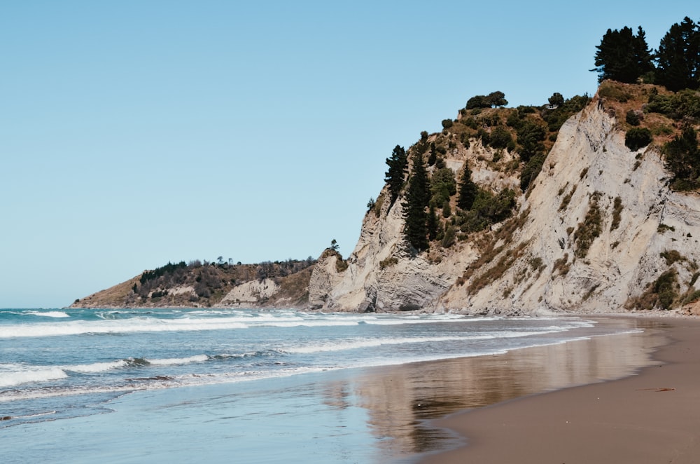 seashore and trees