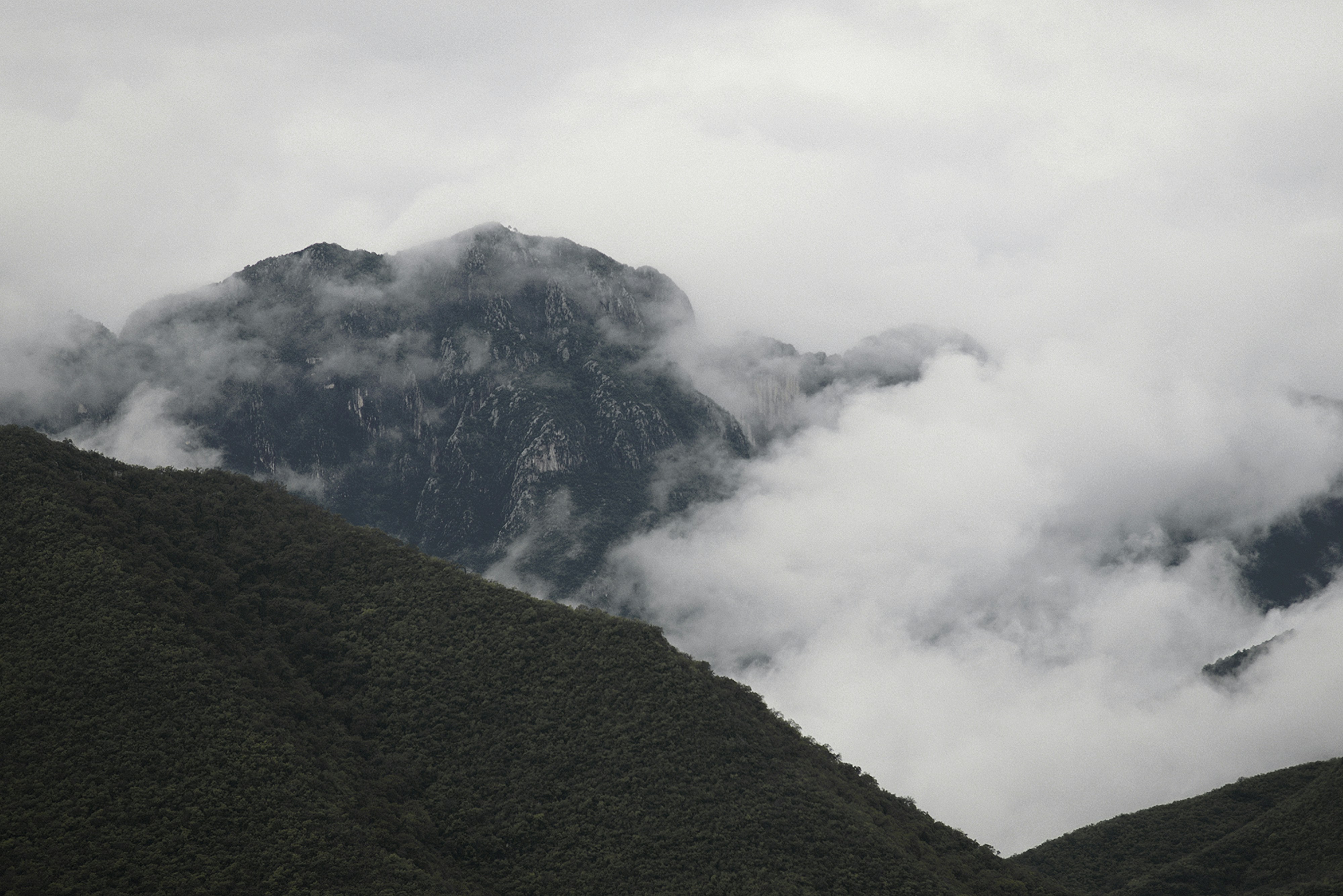 Photo by cesiraalvarado