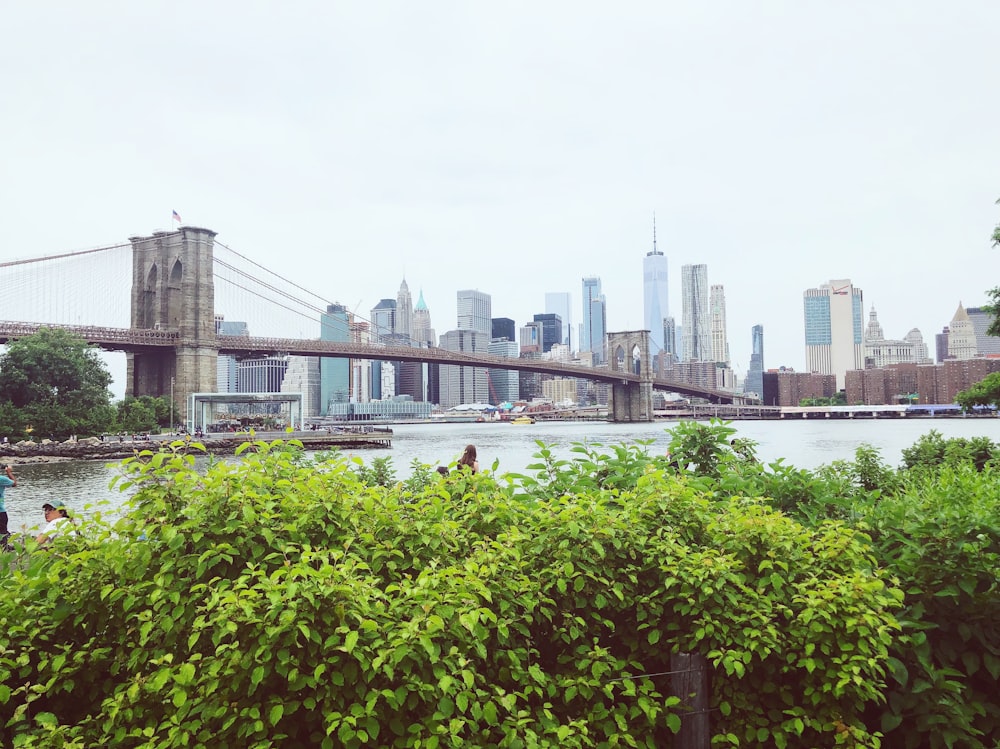 Brooklyn Bridge, New York during daytime