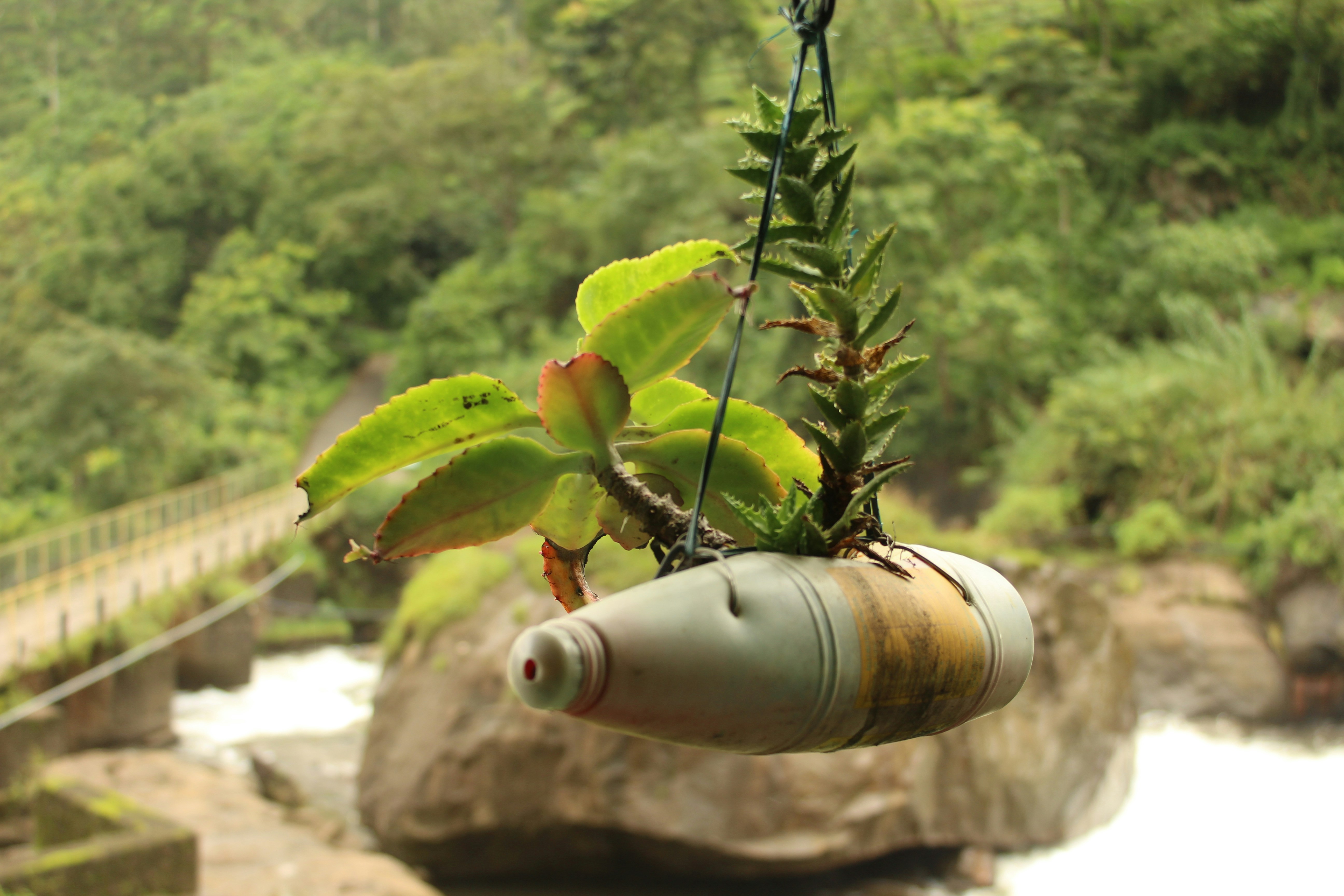 photo 1538150196432 2e80758cffba?ixlib=rb 4.0