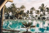 A tranquil resort setting with a large, inviting swimming pool surrounded by palm trees. In the background, lounge chairs and umbrellas are neatly arranged, creating a relaxing atmosphere. The reflection of the palm trees in the water enhances the serene ambiance.