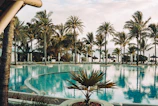 A serene resort poolside with palm trees swaying gently in the breeze.