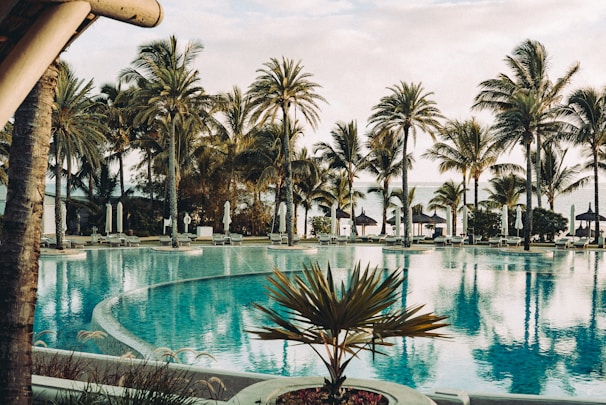 A tranquil resort setting with a large, inviting swimming pool surrounded by palm trees. In the background, lounge chairs and umbrellas are neatly arranged, creating a relaxing atmosphere. The reflection of the palm trees in the water enhances the serene ambiance.
