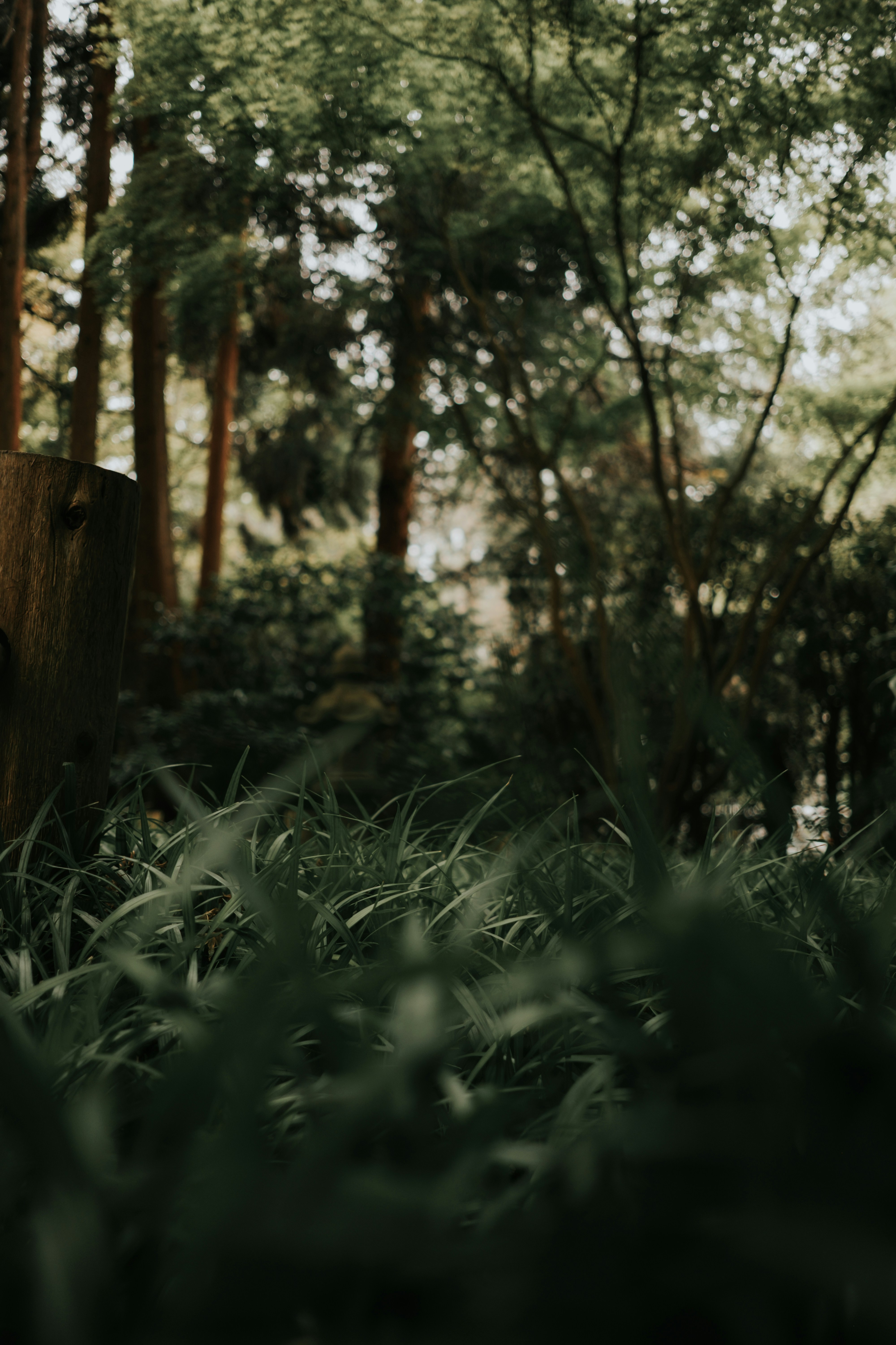 Photo by sapanpatel123