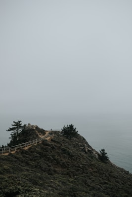 A misty coastal landscape features a narrow path winding along the edge of a cliff with sparse vegetation. In the foreground, there are several small trees and bushes, with a wooden railing lining the path. A solitary figure is seen walking along the path, emphasizing the serene and solitary nature of the scene. The ocean is visible in the background, shrouded in fog.