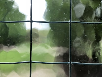 A close-up view of a frosted glass window with a grid-like metal structure behind it. The background appears blurred and shows hints of greenery and bright light from outside.