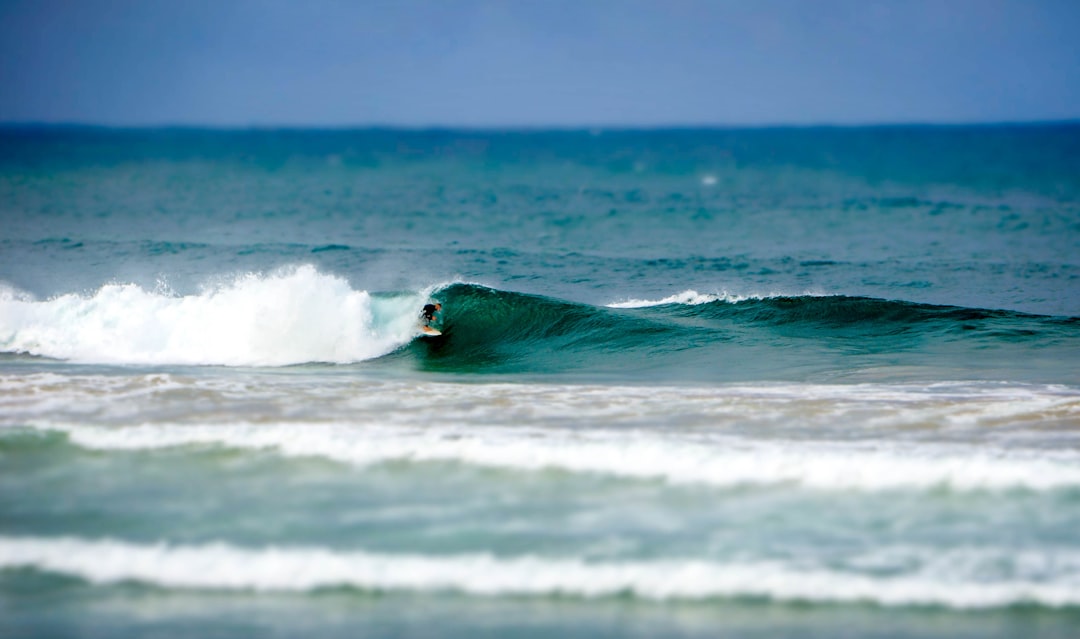 Surfing photo spot Manly Beach Kurnell