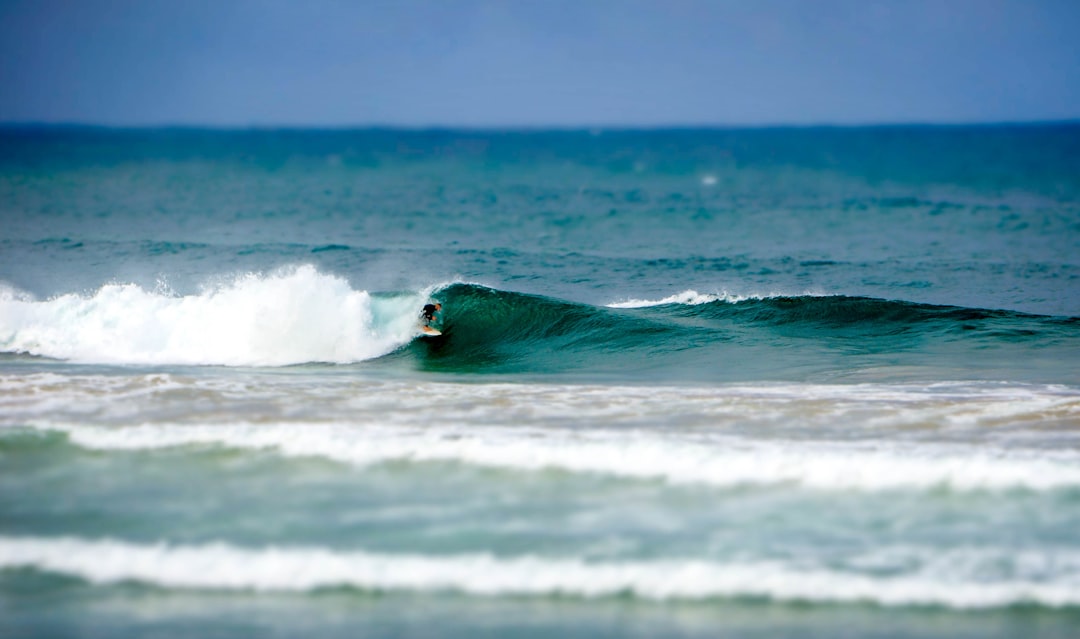 Surfing photo spot Manly Beach Sydney