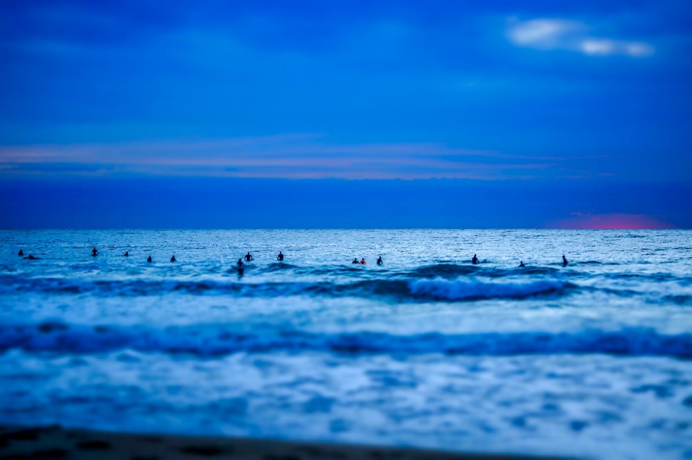 people in beach