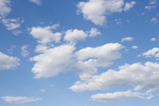 A child looking up at fluffy clouds shaped like animals on a bright day.