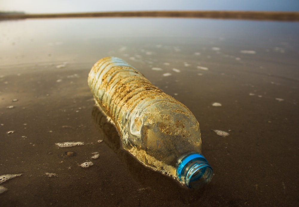 bouteille en plastique transparent dans un plan d’eau