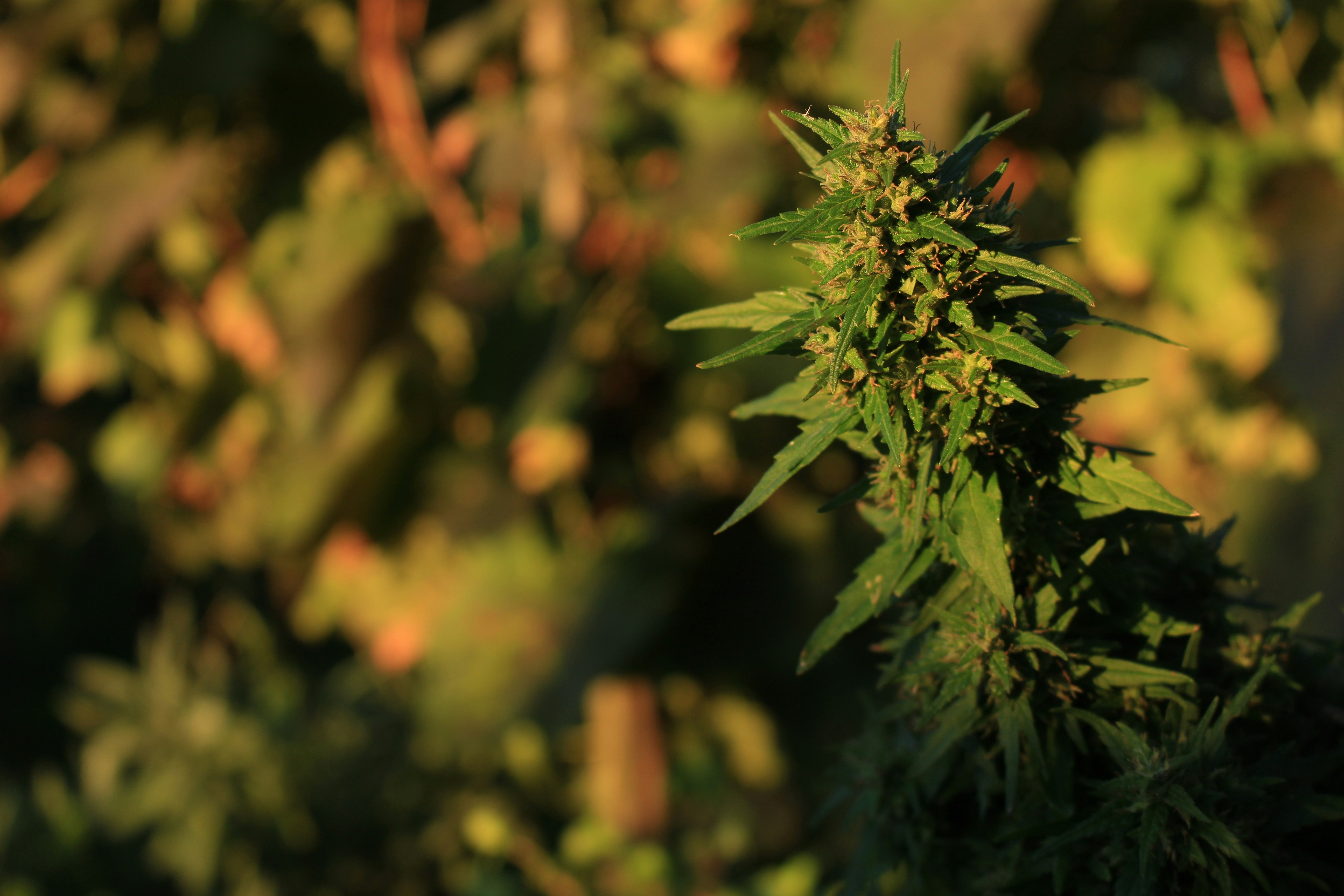 Photo by marjorylucabaxter