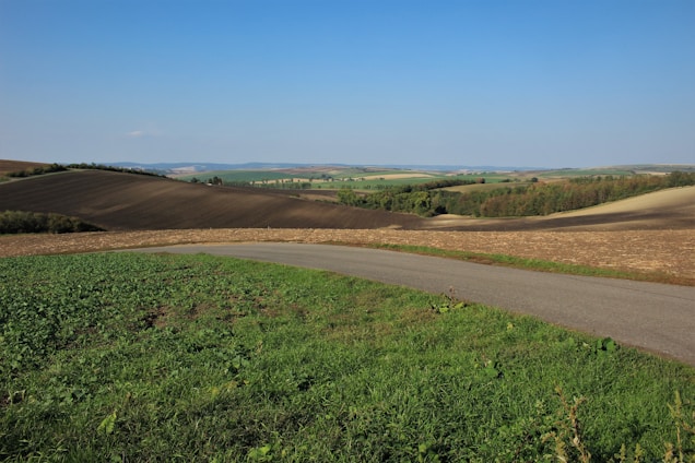 A panoramic view of lush green farm plots with well-laid roads and fencing under a clear blue sky.