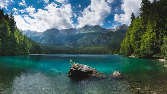 lake under clear sky near forest in Lago di Tovel Italy