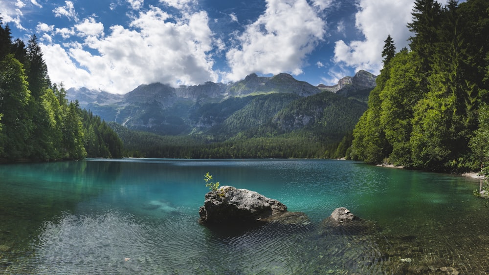 lake under clear sky near forest