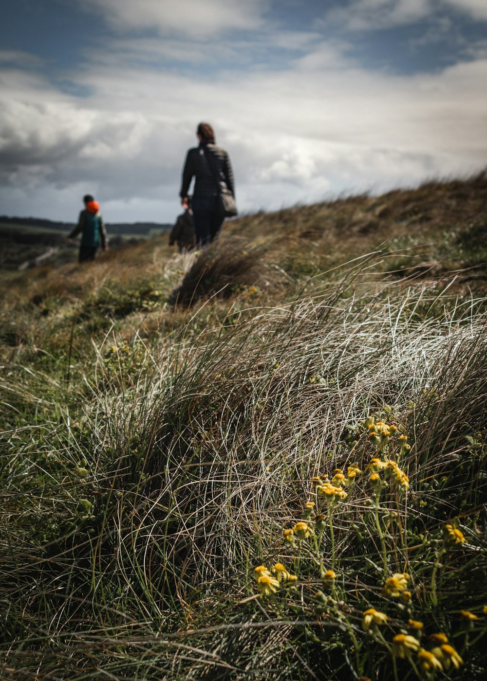 two person walking beside grass field