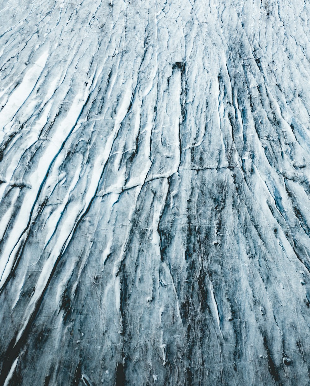 a large amount of ice is melting on the ground