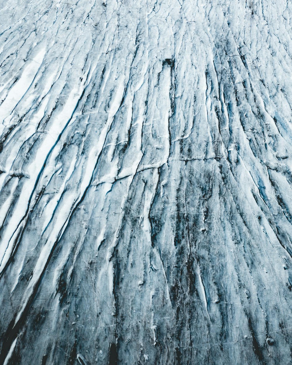 大量の氷が地面で溶けています