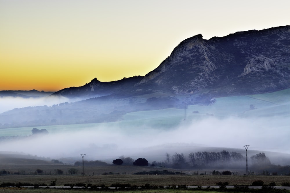 mountain coated by fog