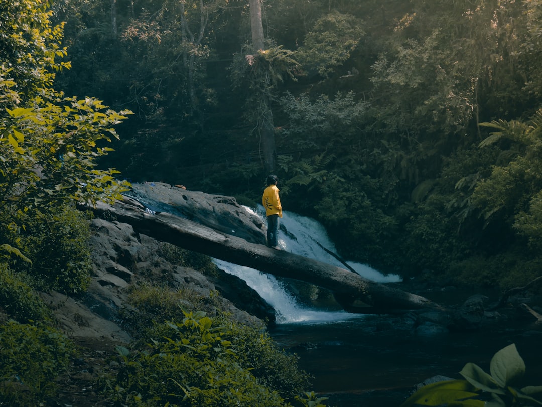 Nature reserve photo spot Layung Waterfall Subang