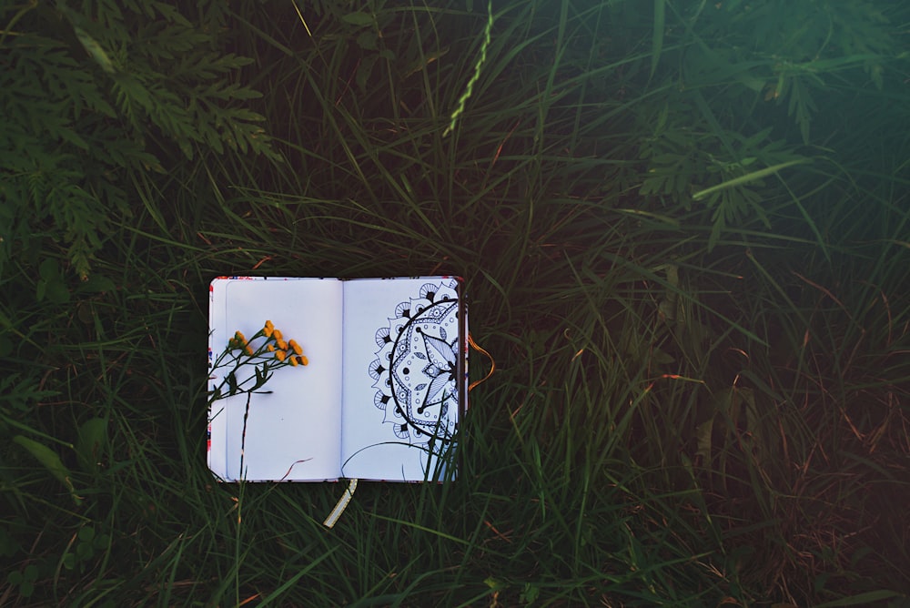 open book on grass