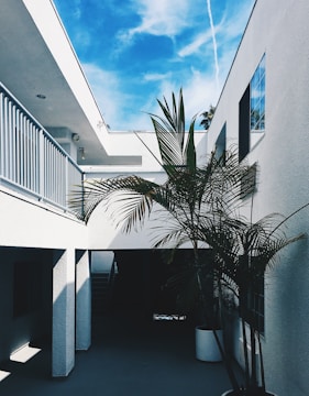 An architectural scene featuring a modern, white building with sharp lines and shadows. A tall potted palm tree is situated in the foreground, set against a clear, blue sky with wispy clouds and a visible vapor trail.